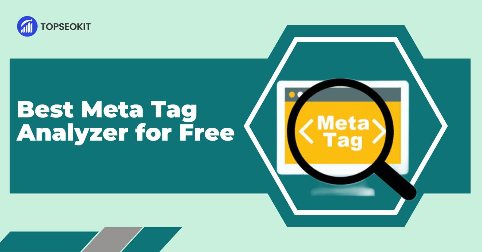 Discover the Best Meta Tag Analyzer – for FREE!